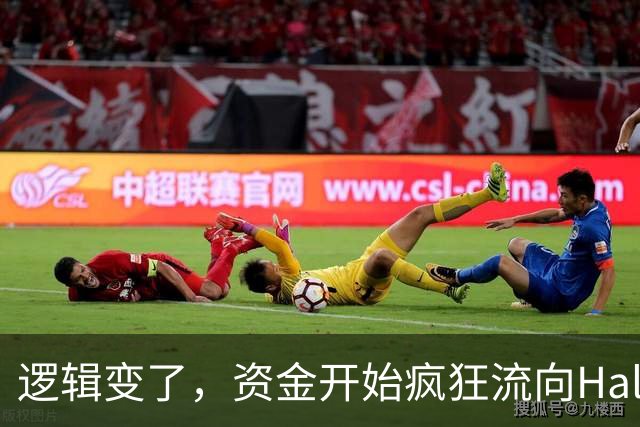 逻辑变了，资金开始疯狂流向Halo资产
